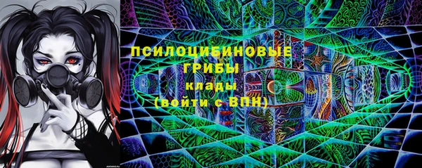 дурь Кулебаки