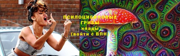 первитин Кукмор
