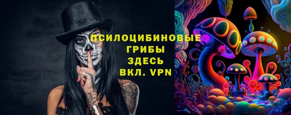 дурь Кулебаки