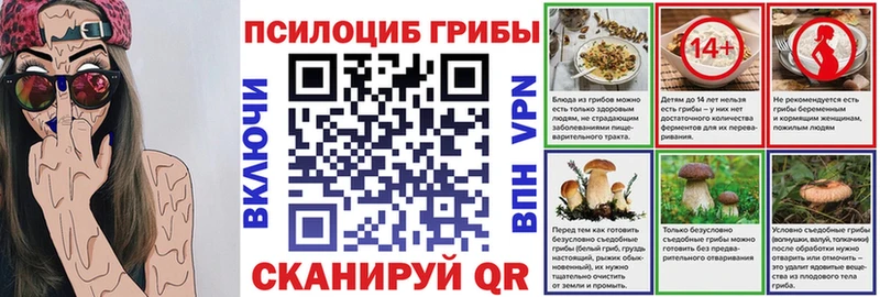 Купить  Анадырь  Галлюциногенные грибы Psilocybe 