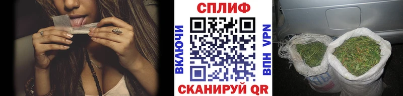 Купить где Анадырь Канабис сатива